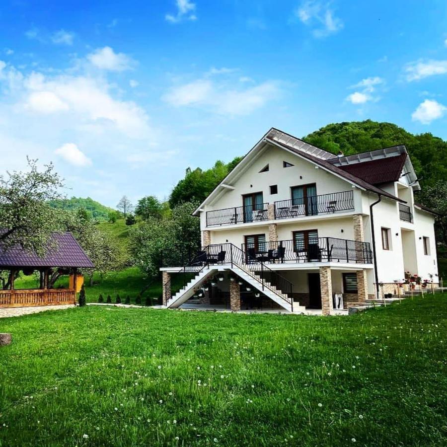 Pensiunea Hai In Maramures Birsana Luaran gambar